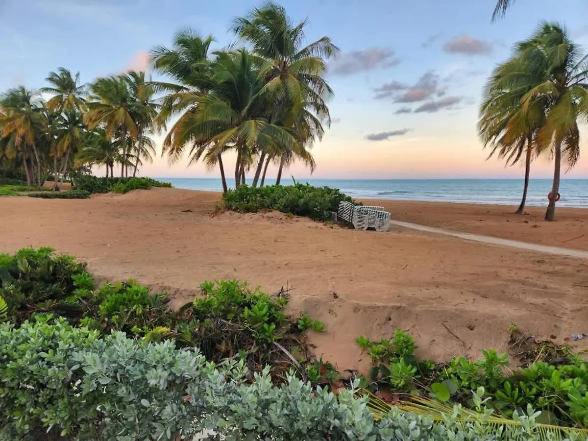 Apartmán Beachfront Luxury 2Br-Villa Acqua Rio Mar Carmelita