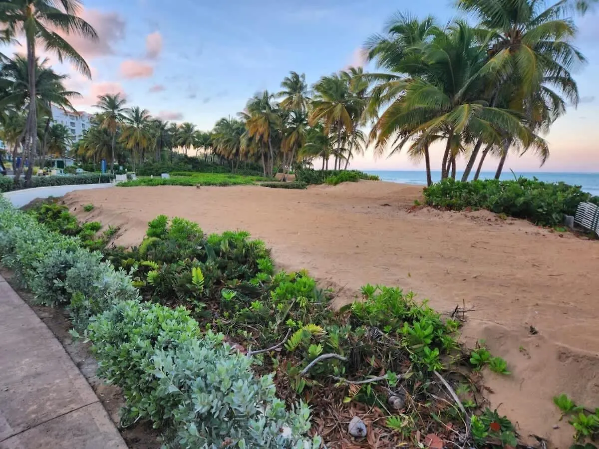 Apartmán Beachfront Luxury 2Br-Villa Acqua Rio Mar Carmelita